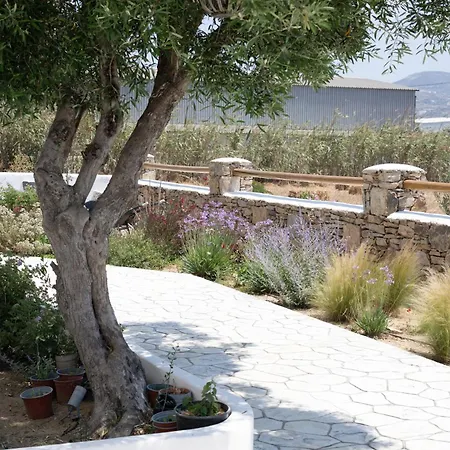 Oliva Naxos Διαμέρισμα Naxos City